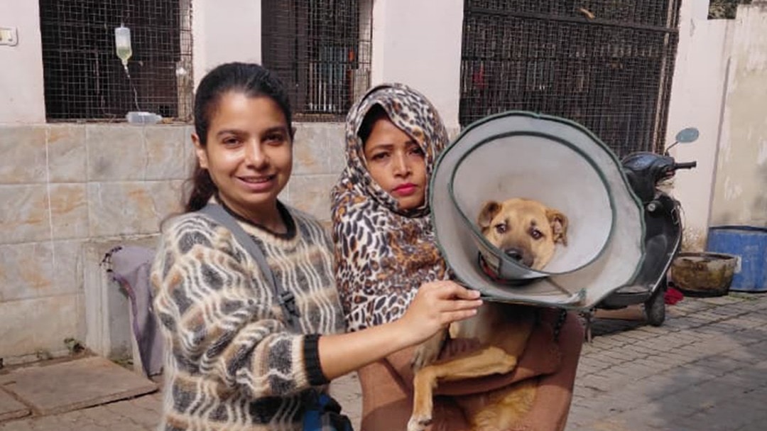 pet dog returned in 4 hours after action in kanpur
