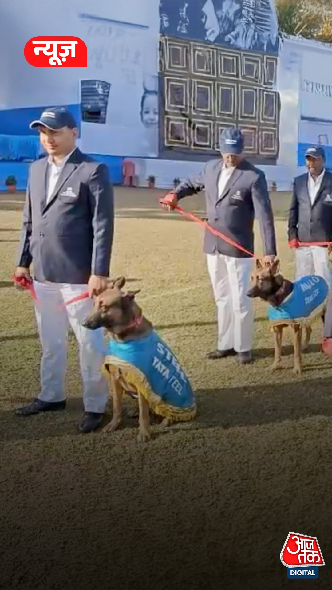 जमशेदपुर में इंटरनेशनल डॉग शो का आयोजन