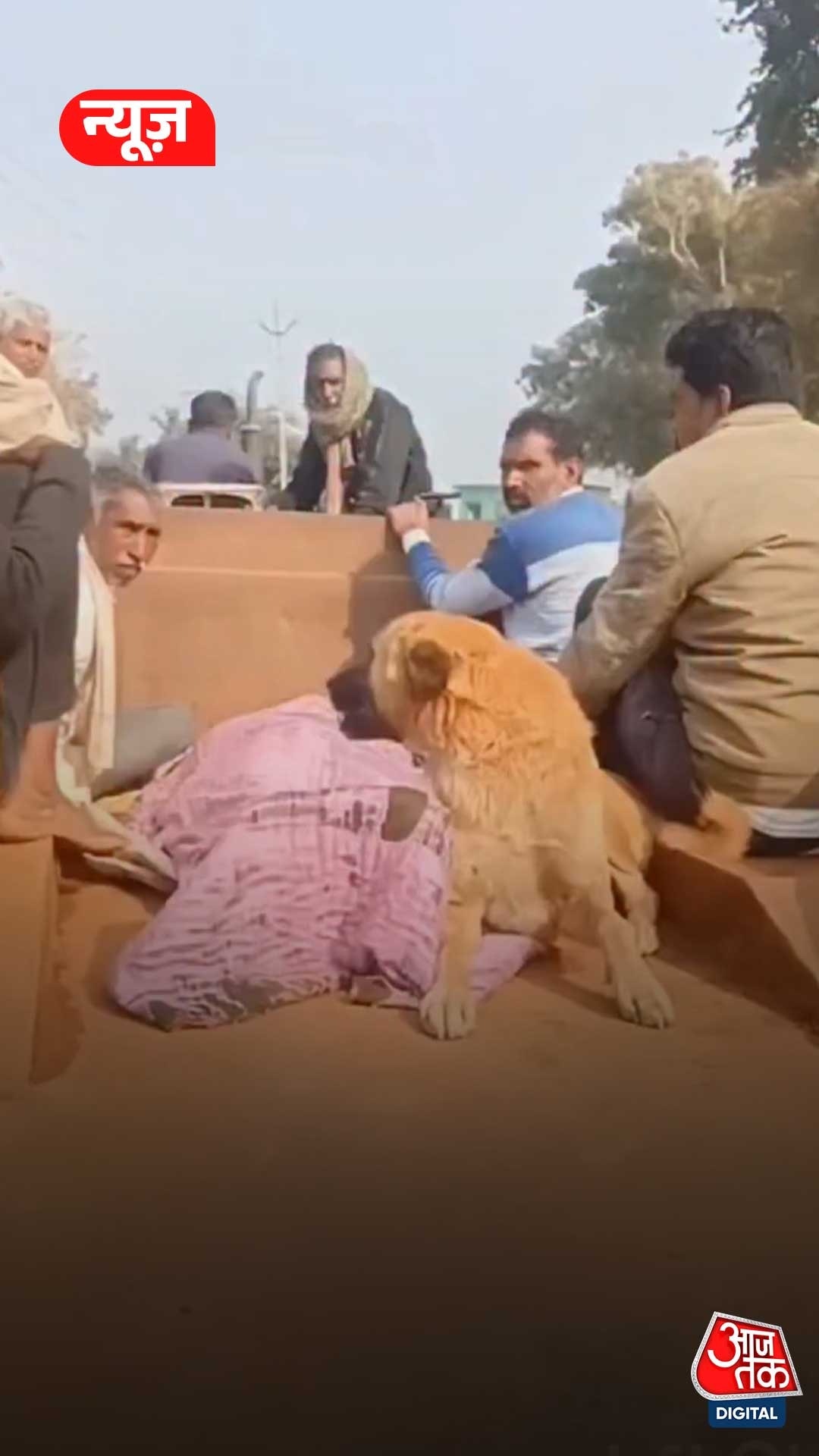 loyal dog accompanying its owner to his funeral 