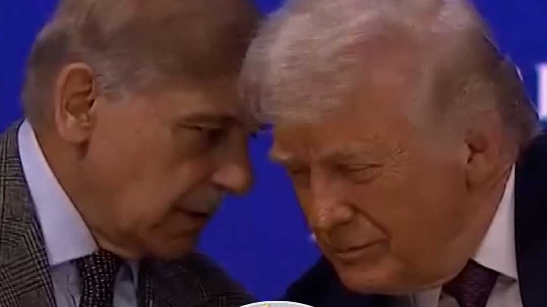 Shehbaz Sharif and Donald Trump
