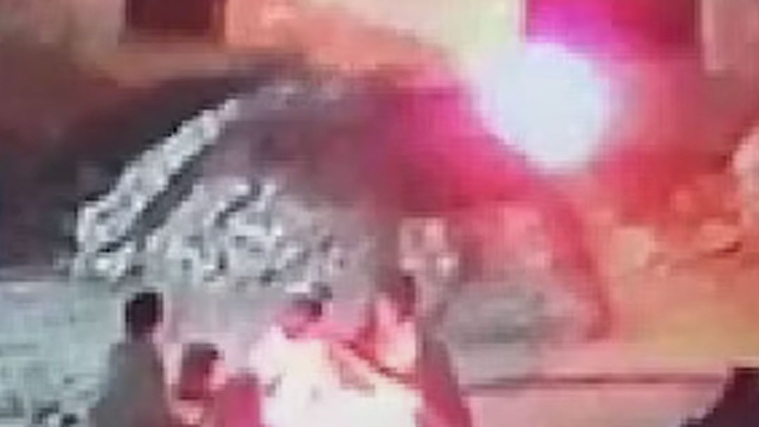 Pali Rajasthan bull was set on fire