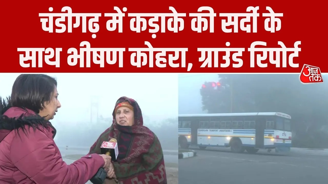 Chandigarh weather sees severe cold and dense fog with ground report