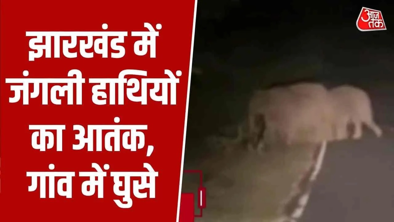 wild elephants terror in several districts of jharkhand including garhwa