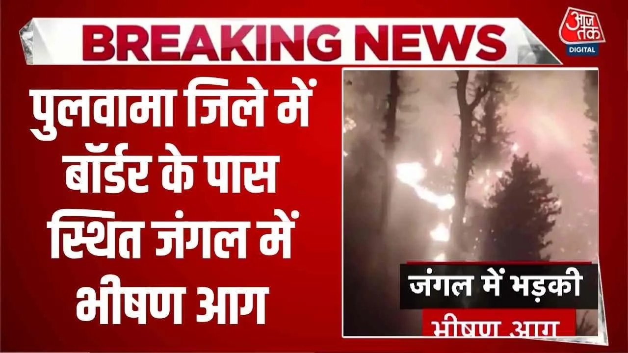 Severe forest fire near border in Pulwama Jammu Kashmir