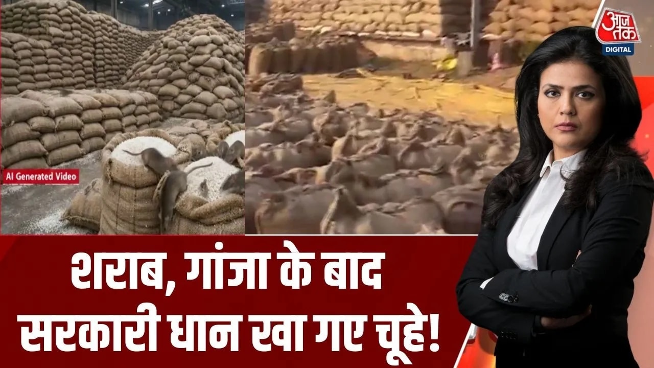Seven crore rupees worth of paddy reportedly eaten by rats in Chhattisgarh government storage