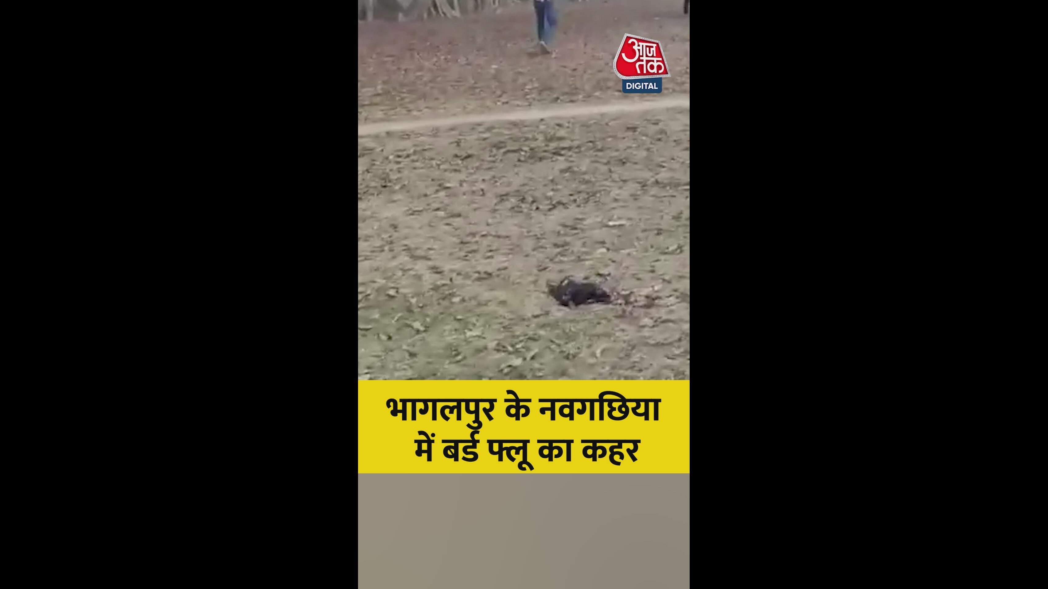 Bhopalpur and Navgachhiya department details