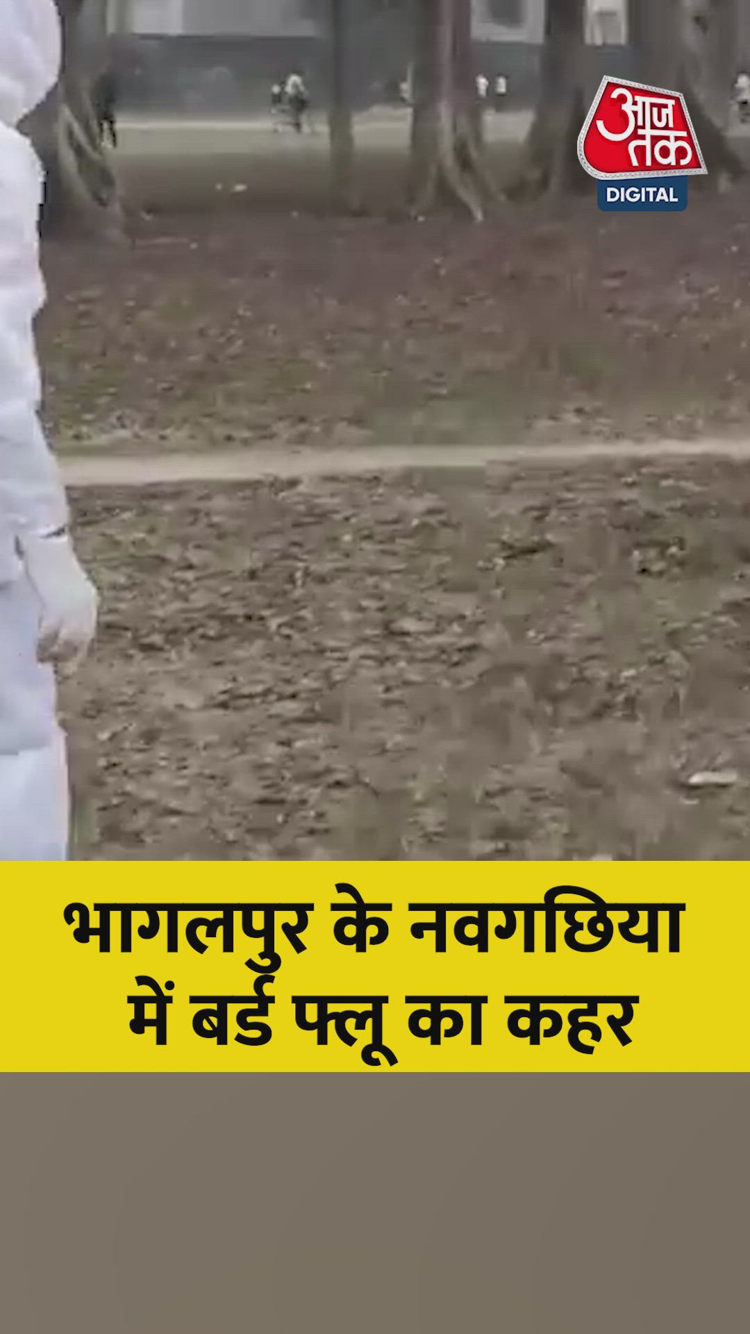 भागलपुर के नवगछिया में बर्ड फ्लू का कहर