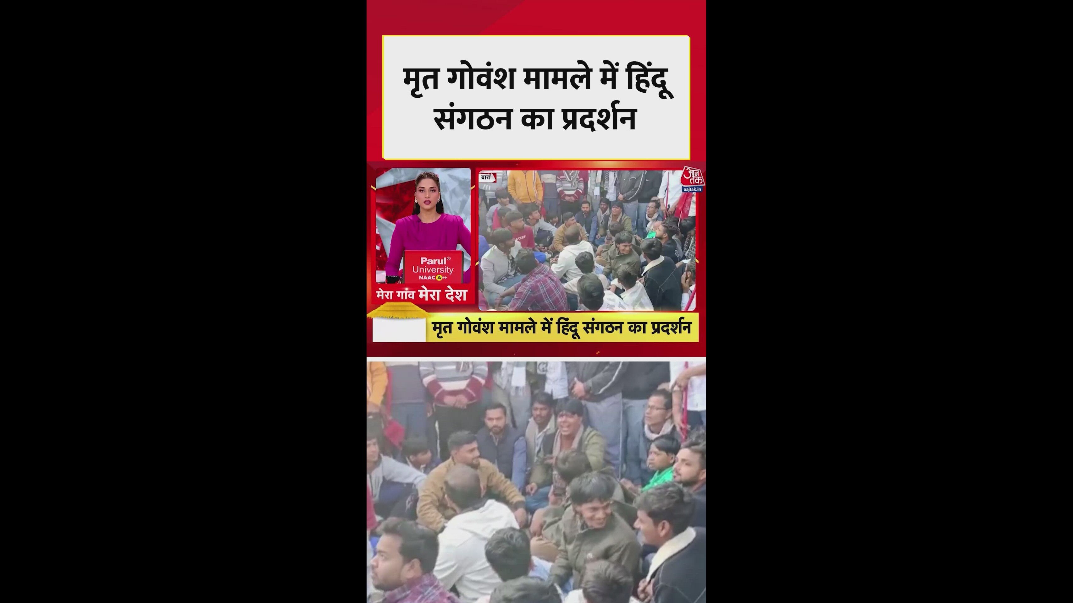 protest over investigation of dead cattle cases in rajasthan