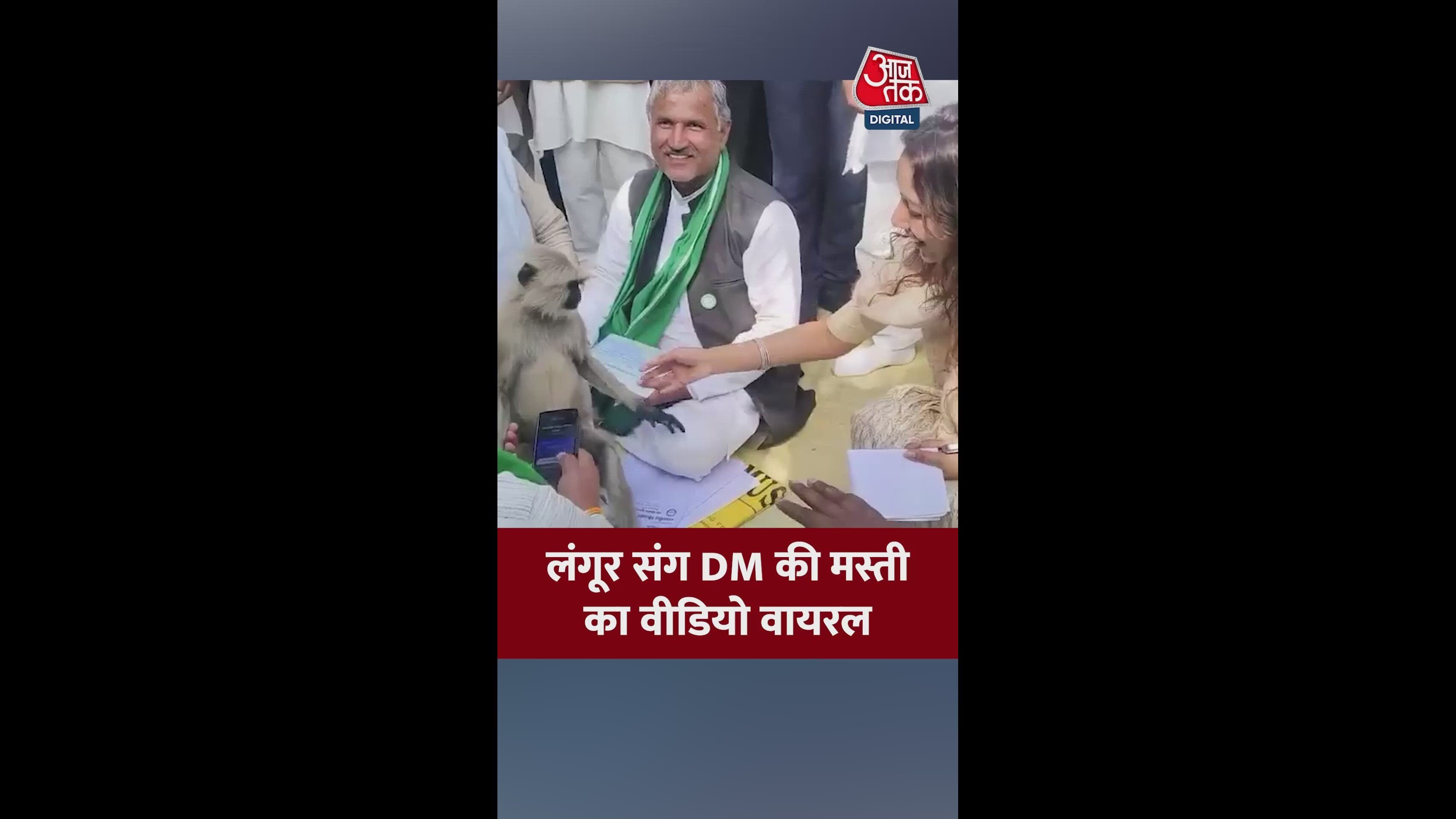 Haan haan haan chalo chalo no mushroom