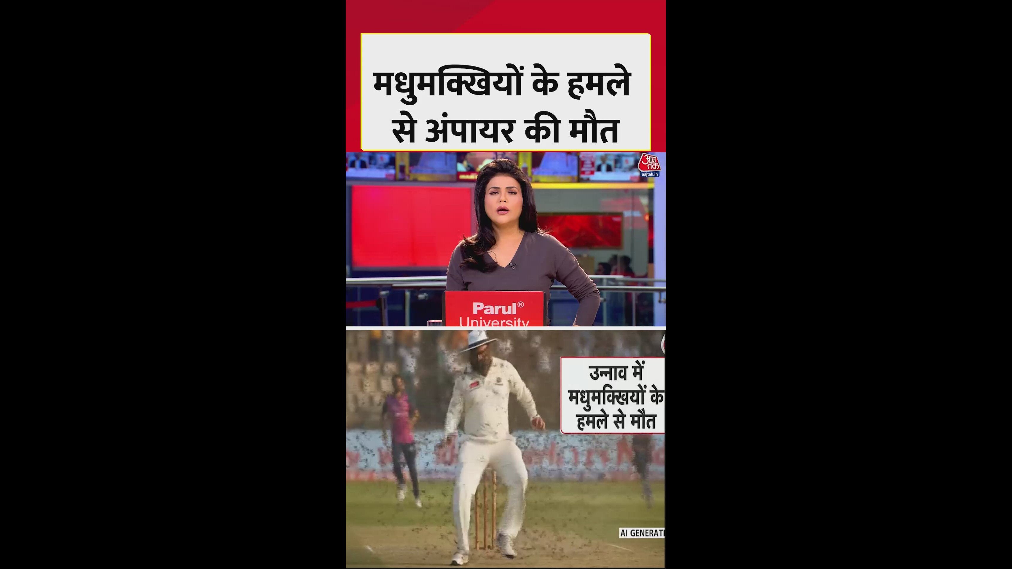 Death of umpire caused by bee attack in Kanpur cricket league