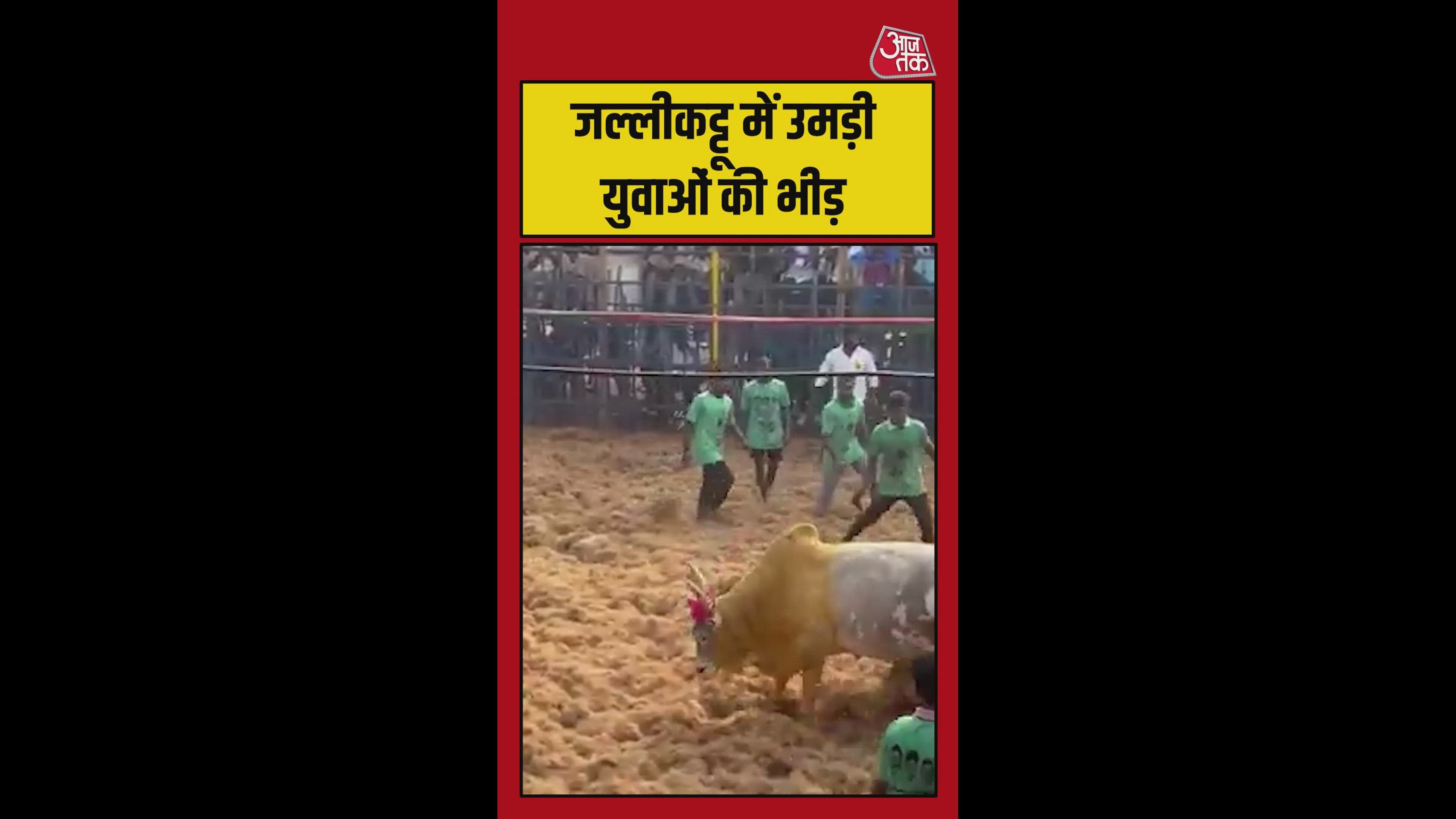 जल्लीकट्टू खेल में उमड़ी युवाओं की भीड़