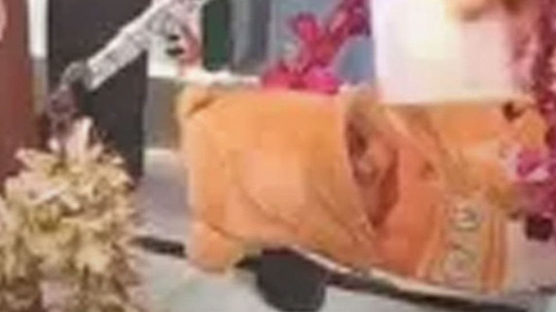 man donated coins equal weight of 4 month old son to temple baghpat