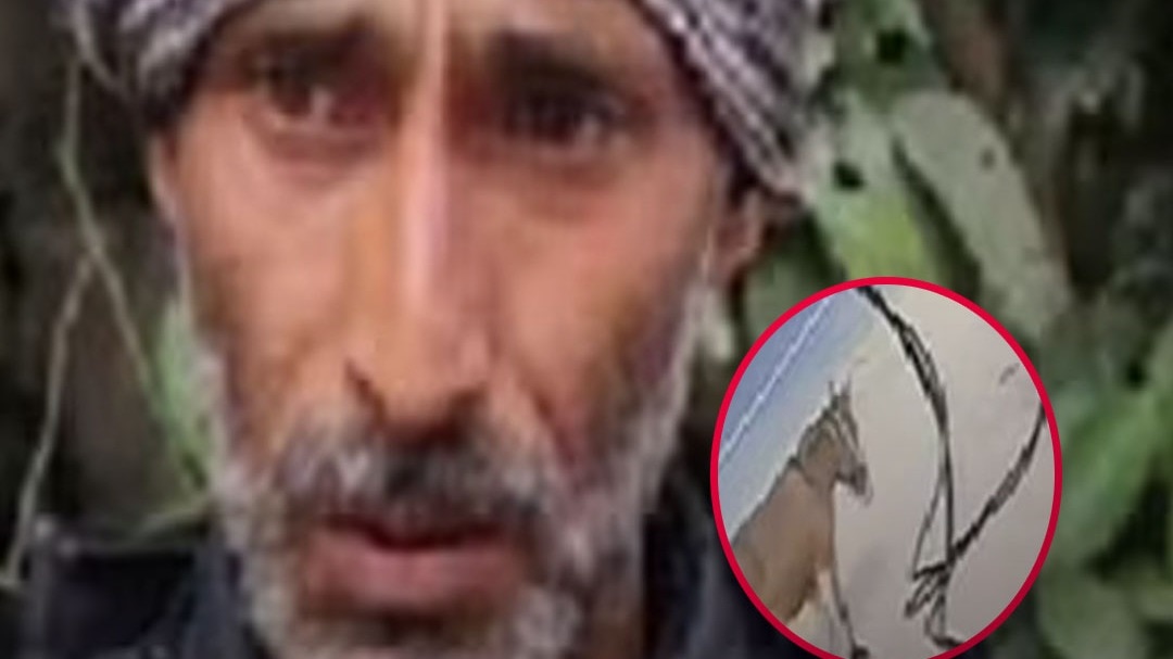 one mule owner Buddhi Ram gone missing in mandi