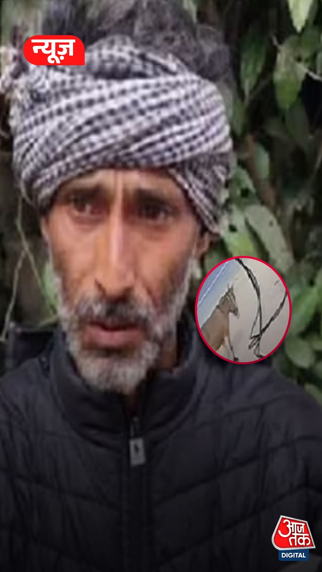 one mule owner Buddhi Ram gone missing in mandi