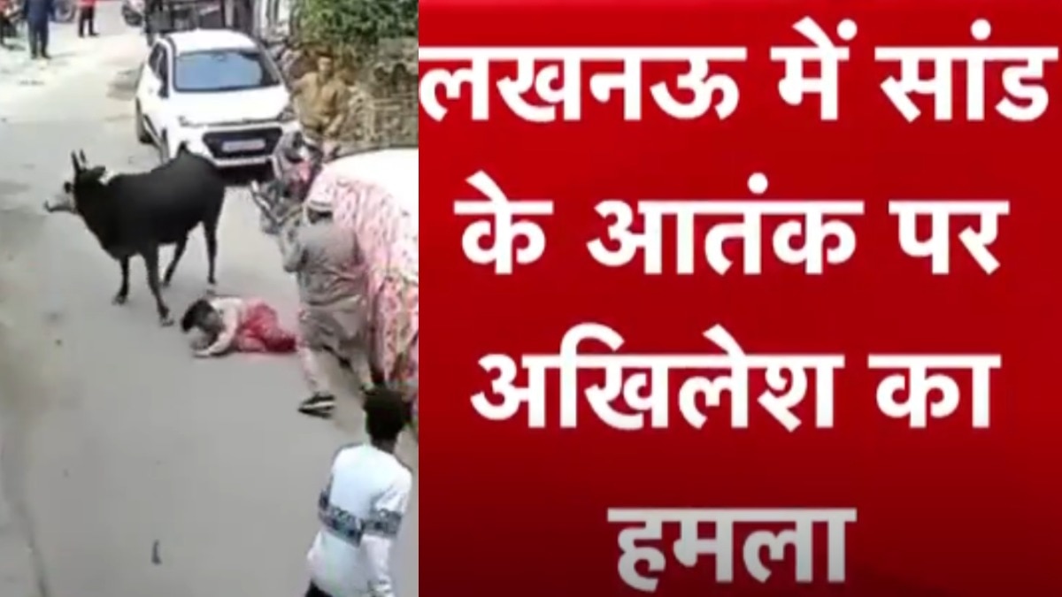 Alhilesh Yadav Shares Bull Video 