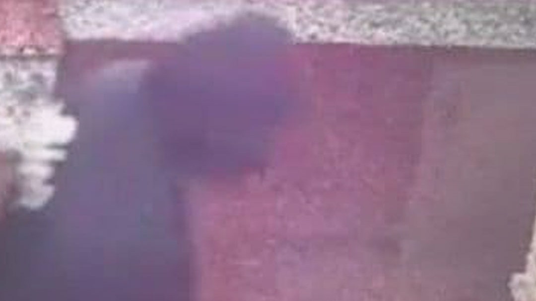 2 man temple theft donation box in baghpat