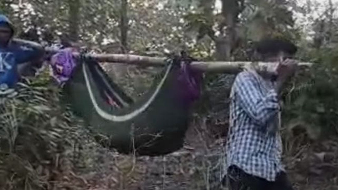 Palghar tribal area young man died 