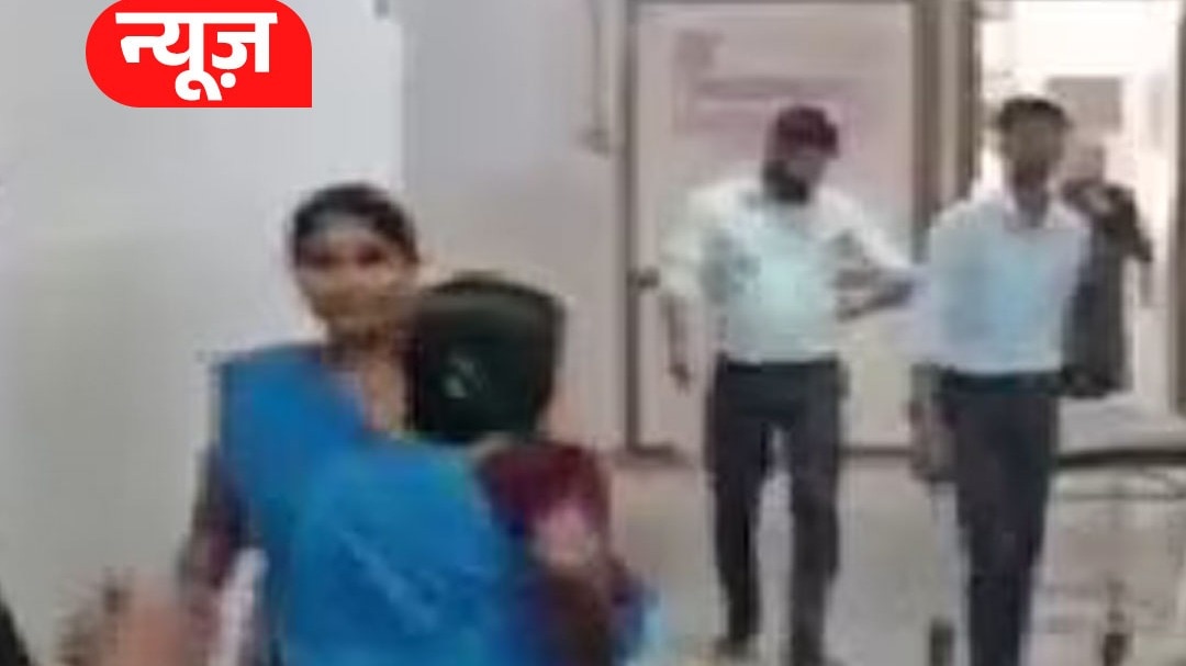 Stray dogs terror in Surat 