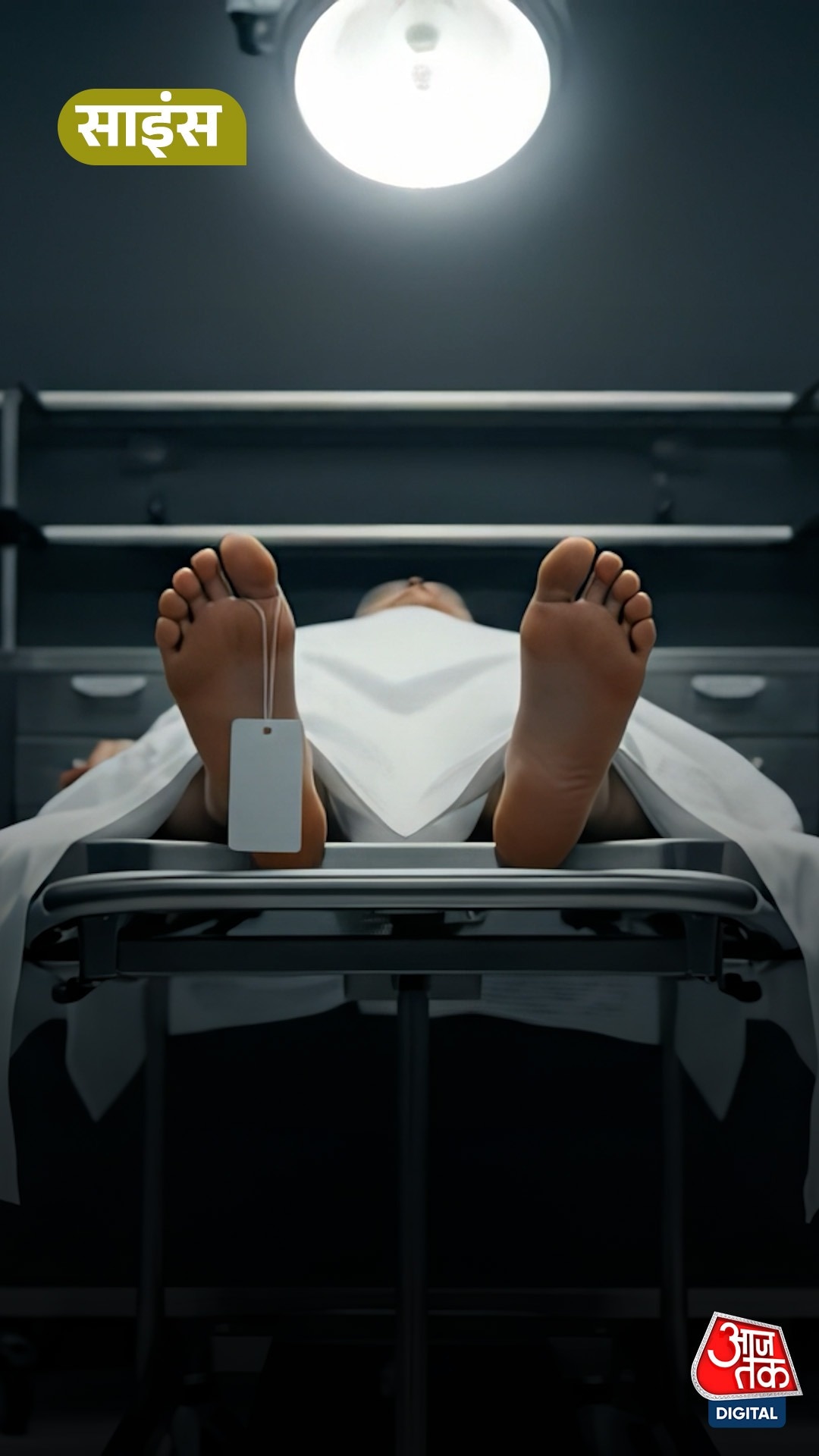 मौत के बाद सबसे पहले कौन-सा अंग बंद होता है? जानें...