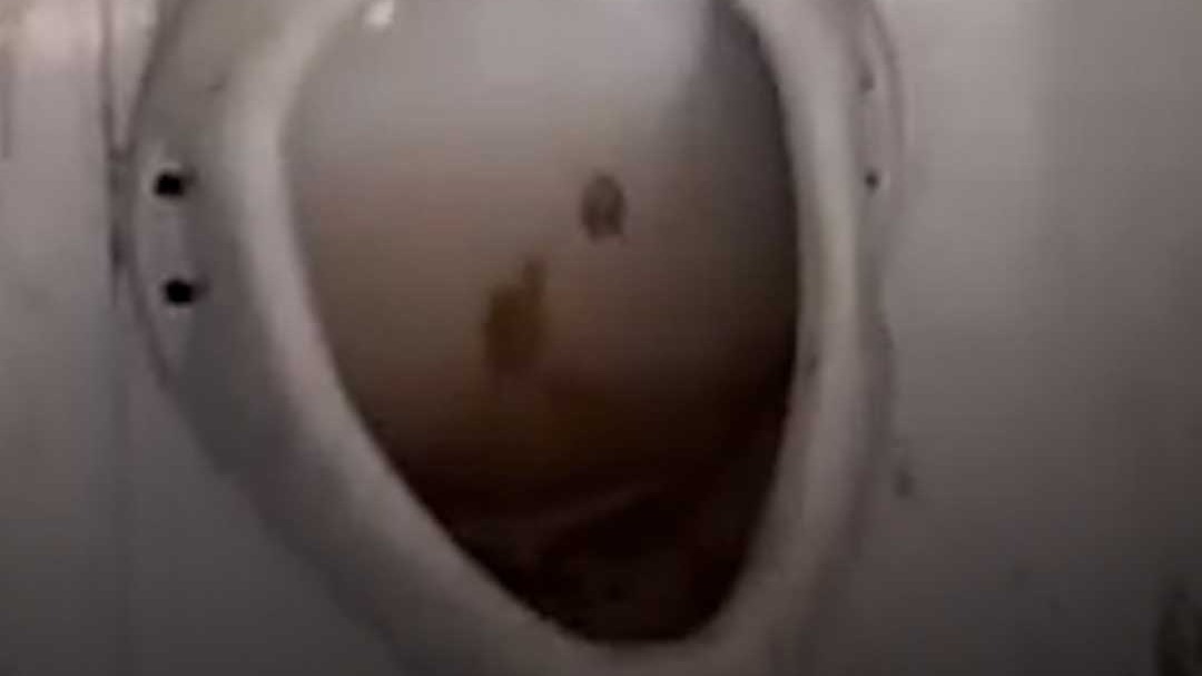 Mens Urinal in Girls Washroom