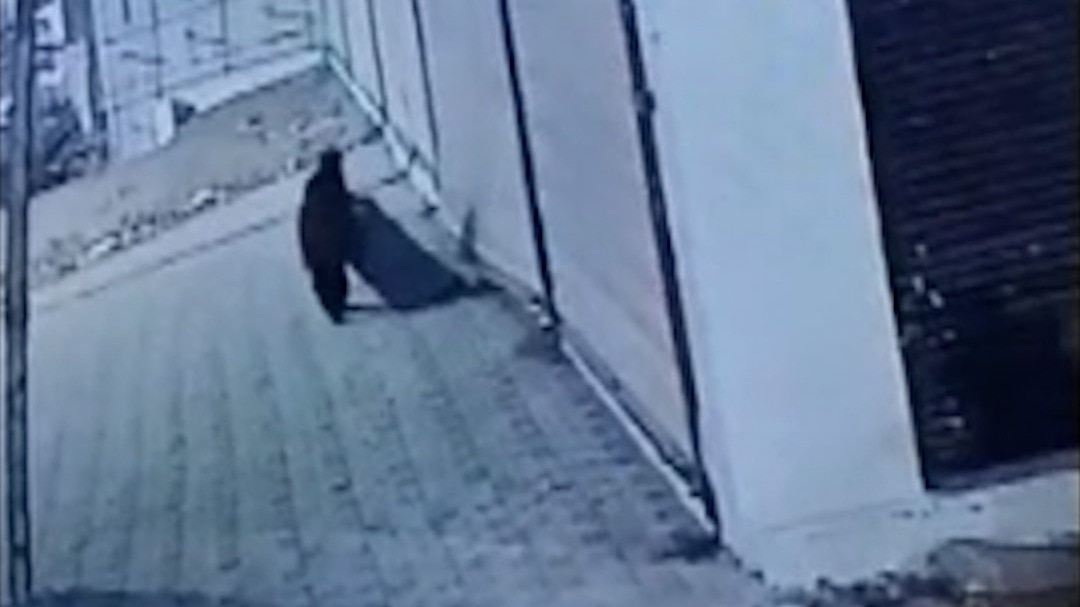 Bhopal 5 woman stole led tv from factory