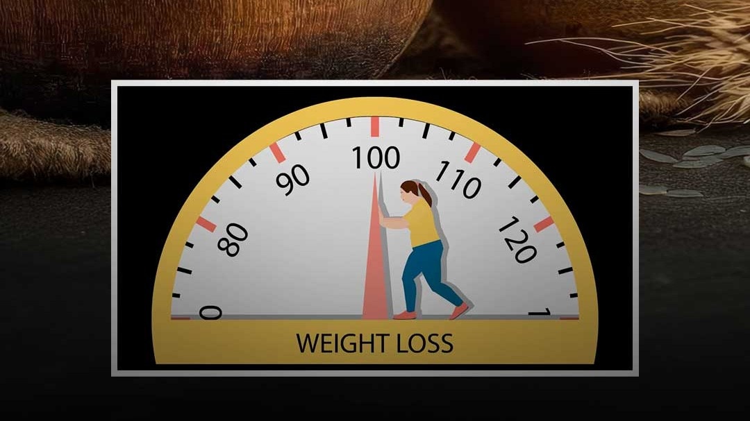 white rice vs brown rice for weight loss