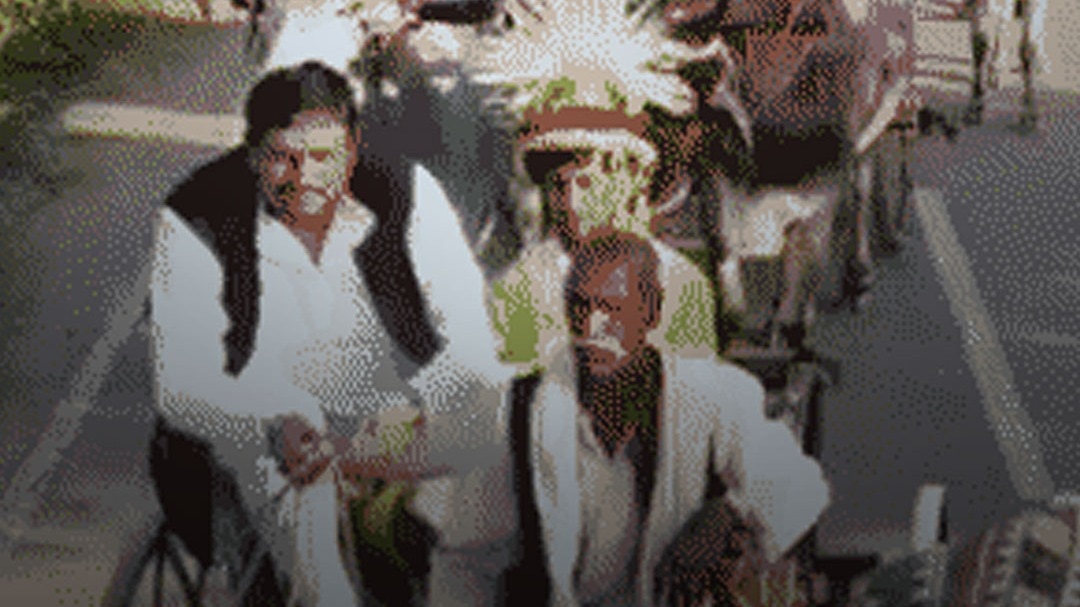 25 बैलगाड़ियों पर सजी शाही बारात