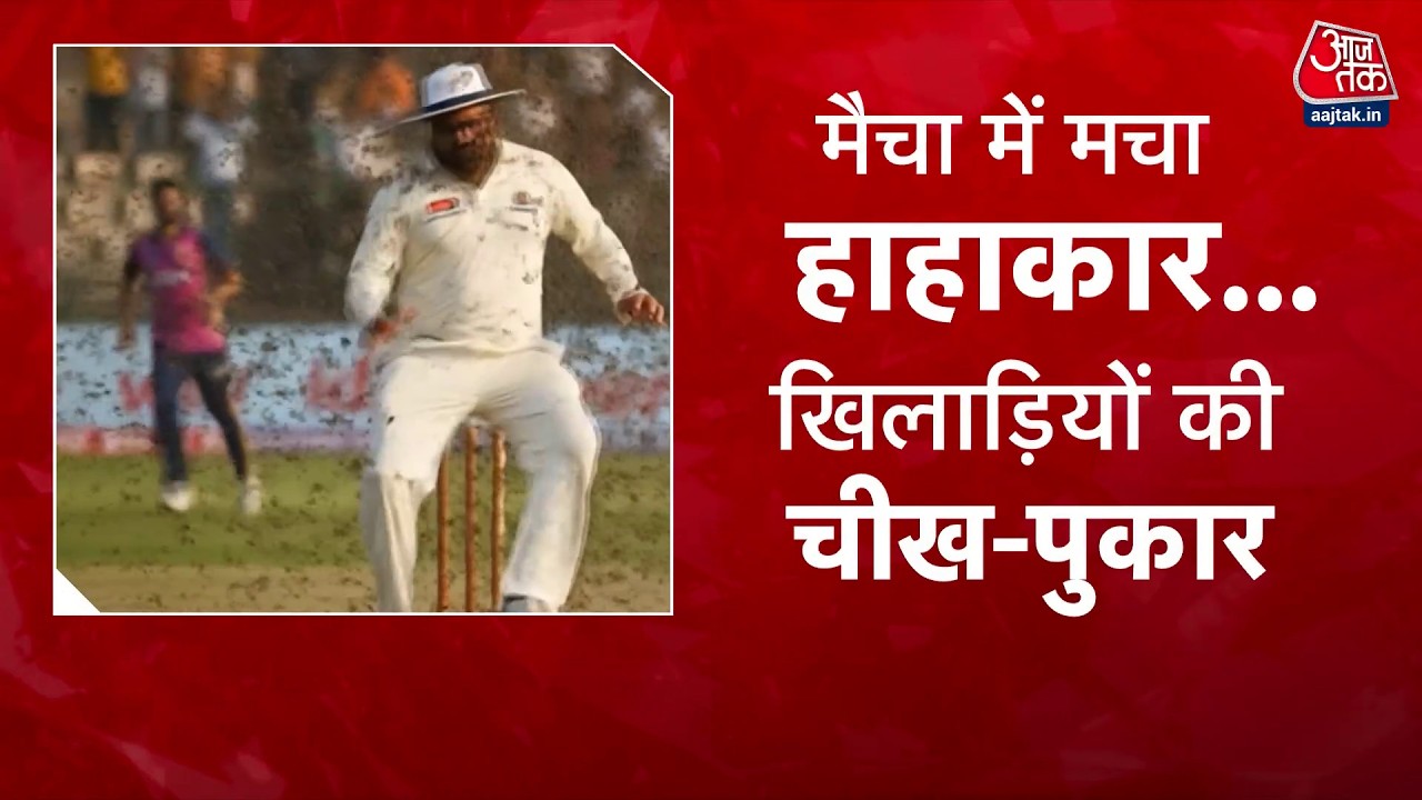 Cricket match disrupted by deadly bees attack