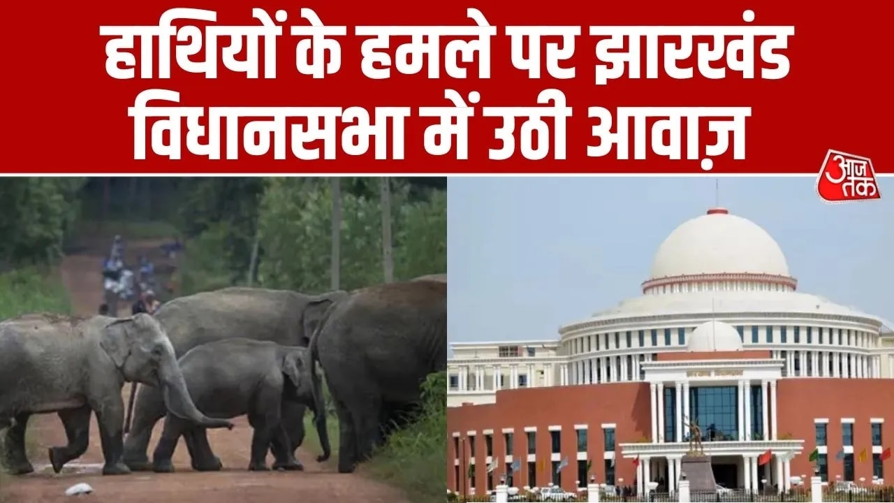 झारखंड में बढ़ते हाथियों के हमले पर सदन में हुई बहस, जानें क्या निकला नतीजा