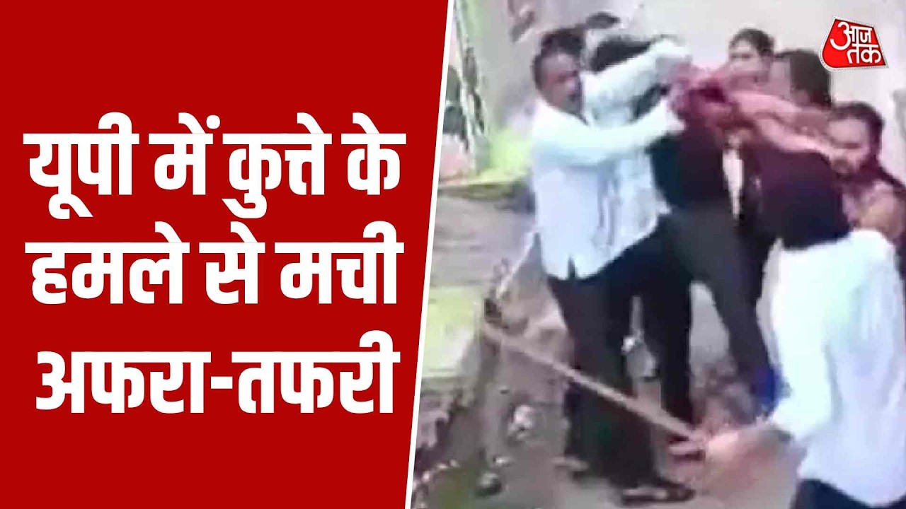 Pet pitbull dispute turns violent in Baghpat Uttar Pradesh