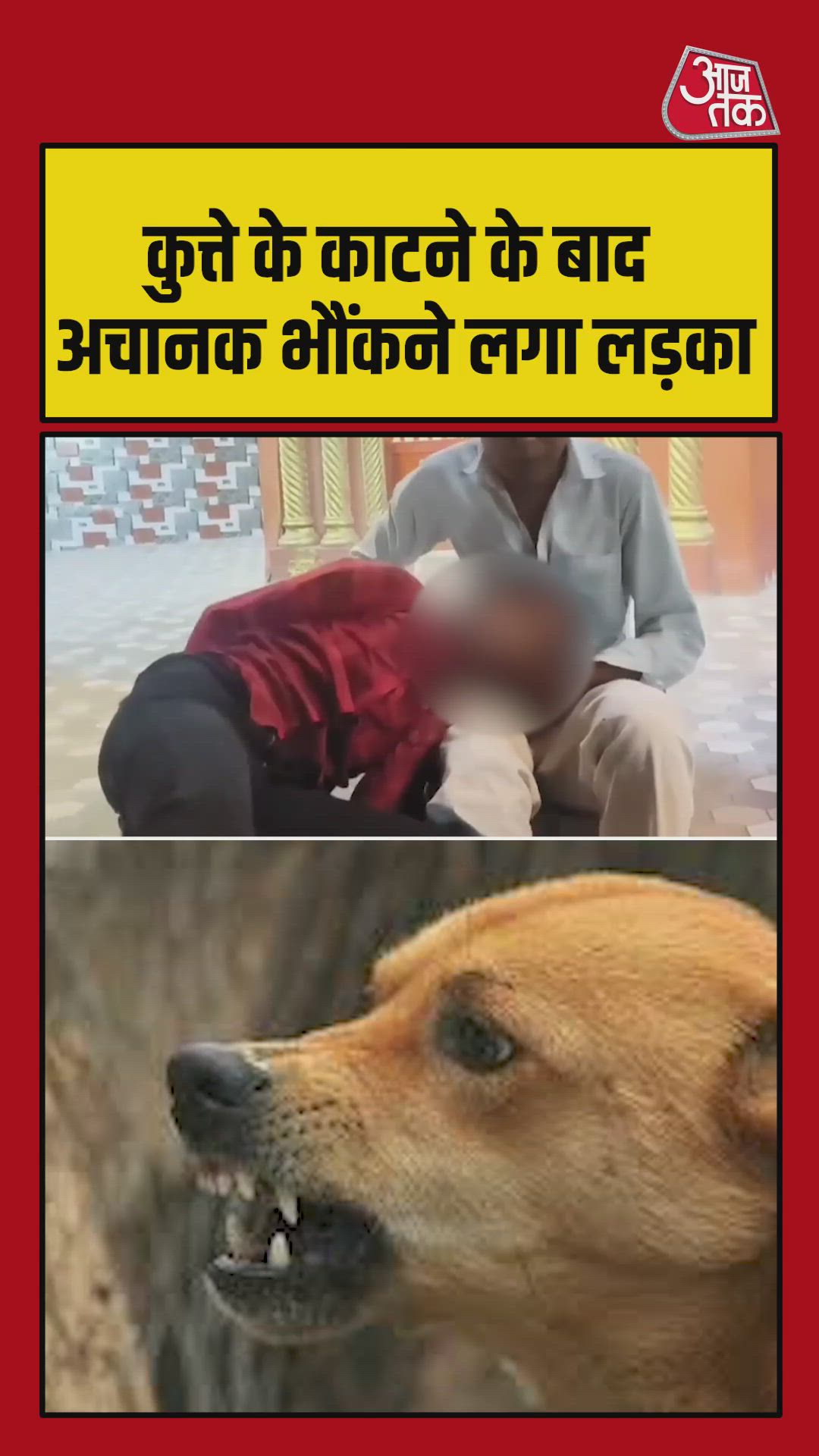 Ye chhod do gadhiya badhiya chhod denge