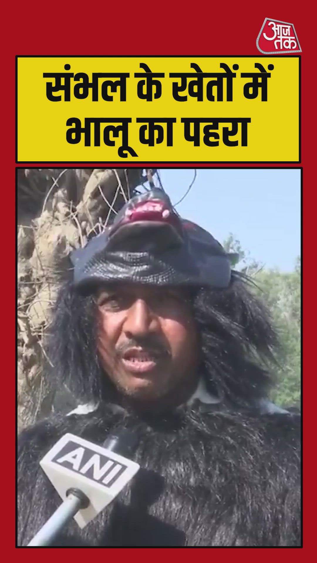 monkey troubles in firozpur village sambhal district