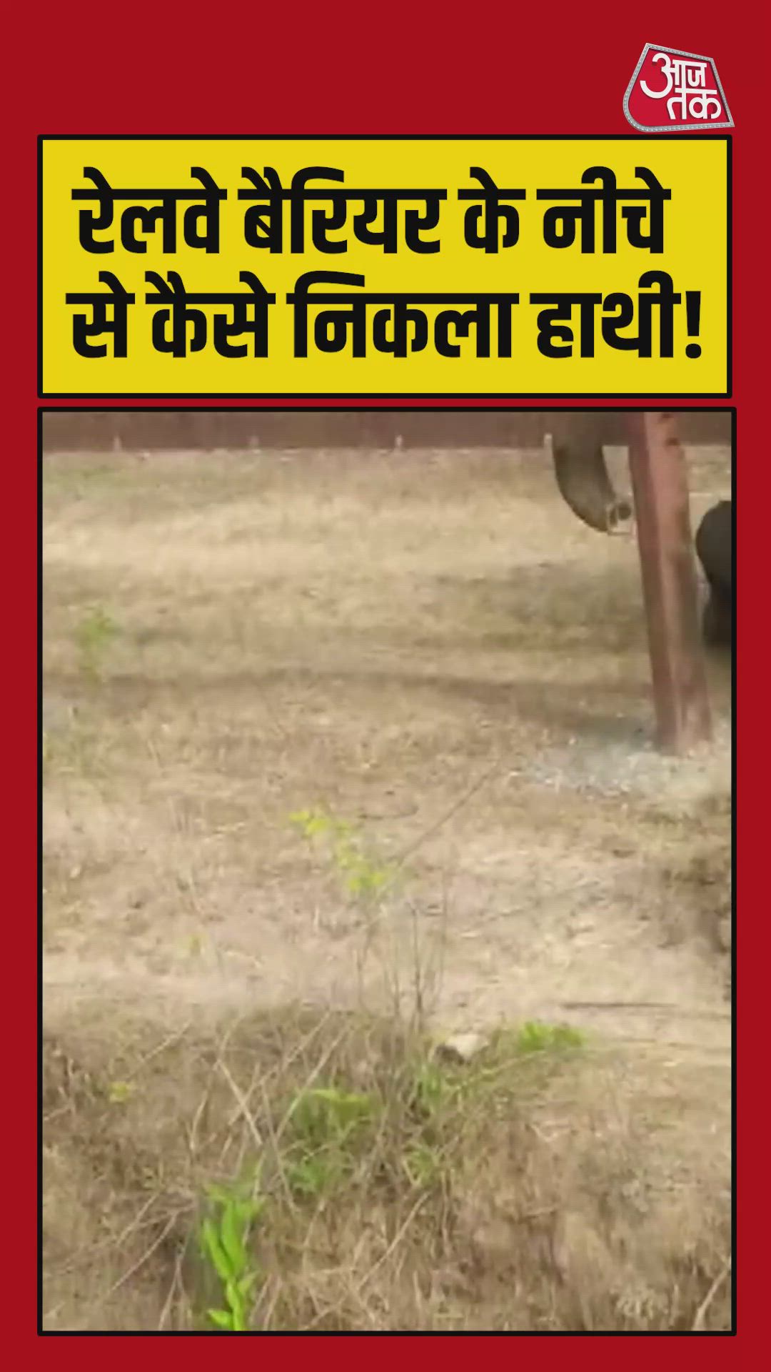 रेलवे बैरियर के नीचे से कैसे निकला हाथी?