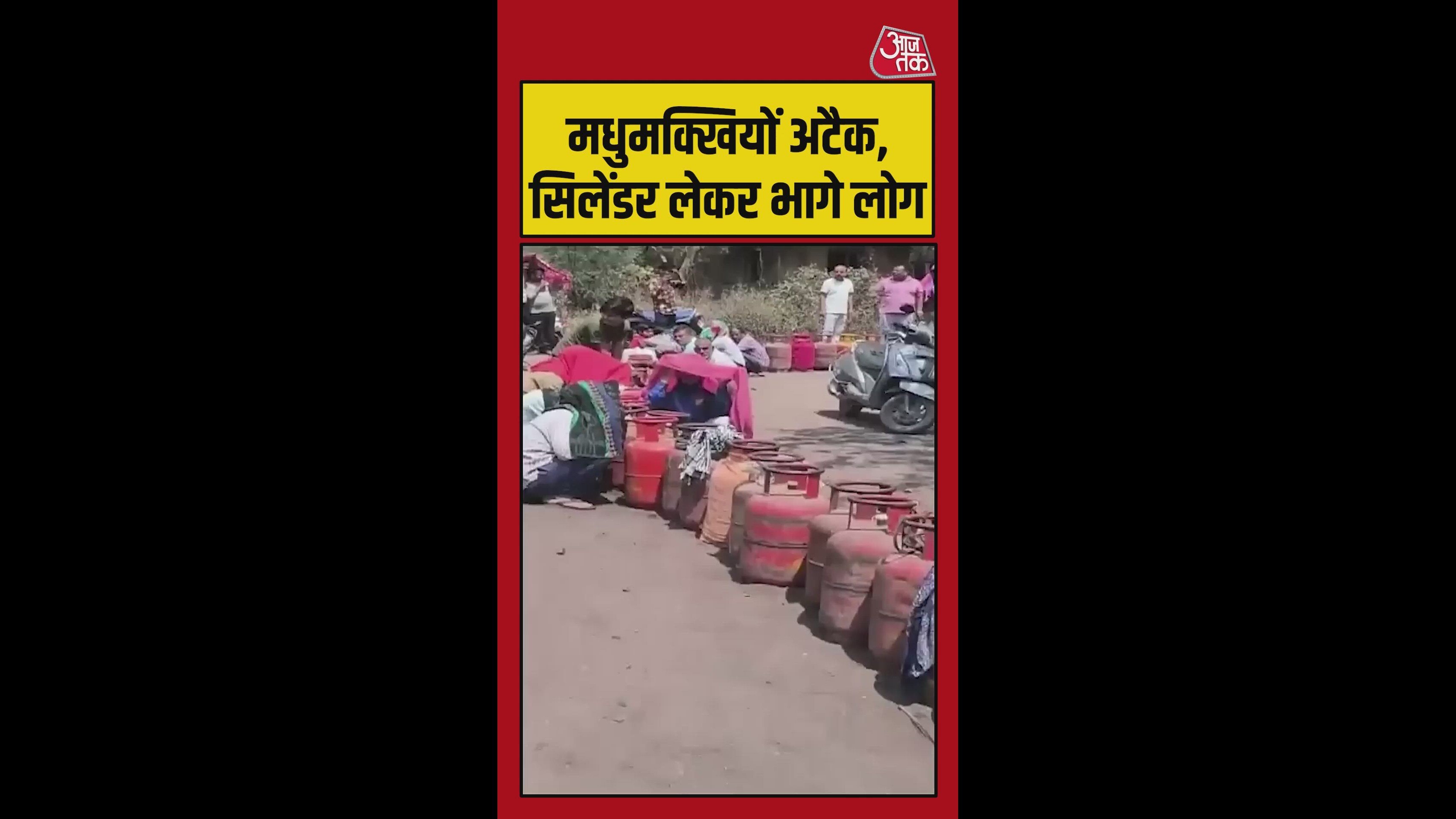 सिलेंडर के लिए लाइन में खड़े थे लोग तभी मधुमक्खियों ने कर दिया अटैक