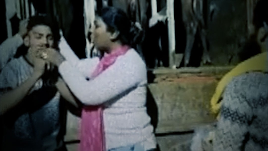 driver forced to eat cow dung in pune