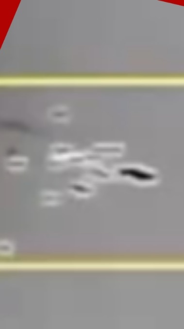 ईरान ने मार गिराए दर्जन से ज्यादा ड्रोन, इजरायली सेना ने कुबूला 