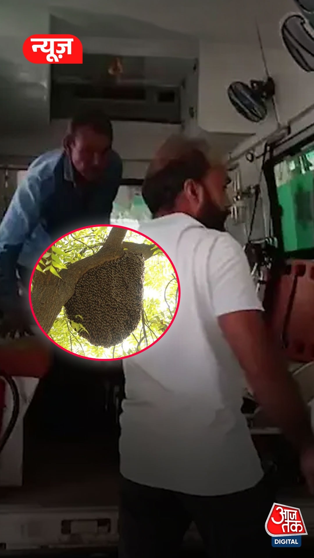 elderly man attacked by bees in alwar