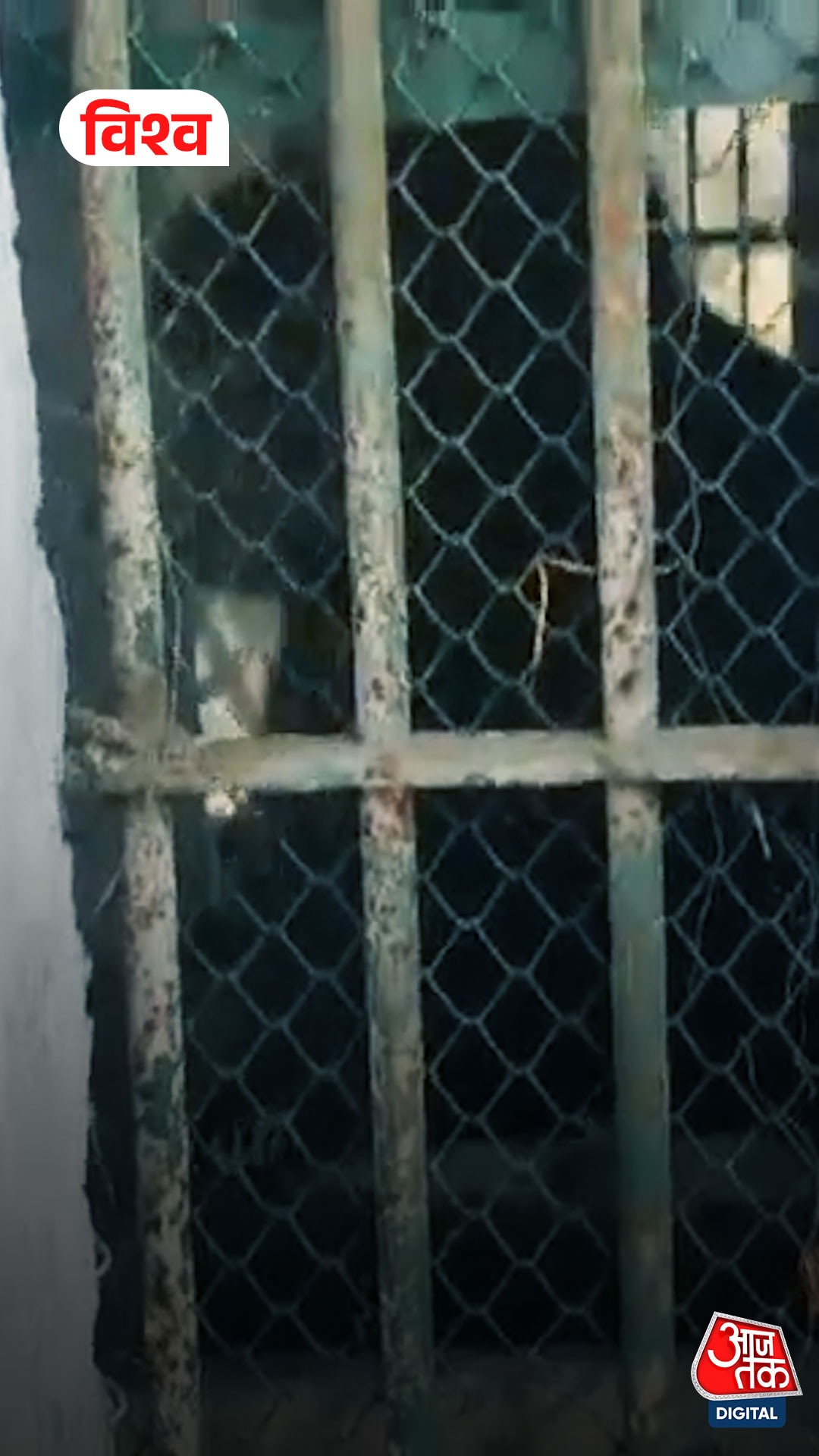 ranthambore rajasthan bear forest department people rescued