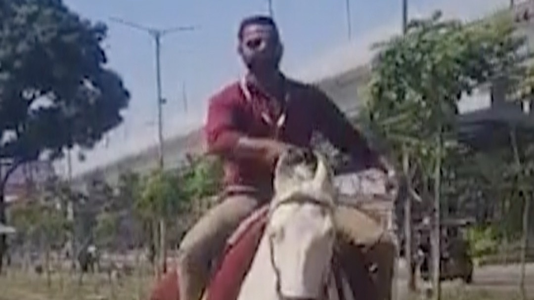 घोड़े से ऑफिस पहुंचा युवक, Video वायरल