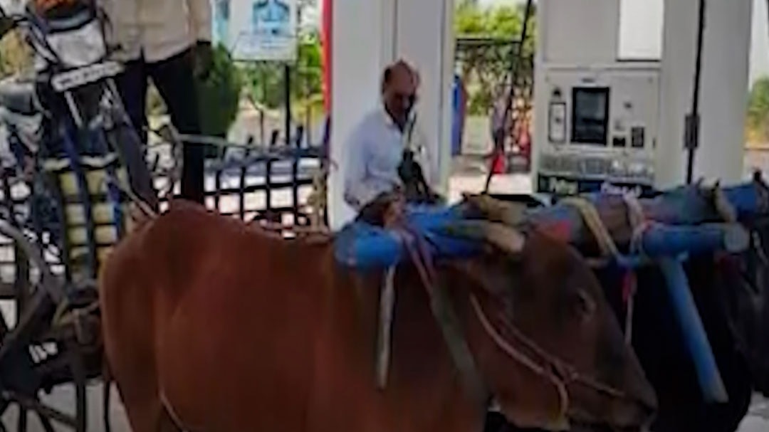 पेट्रोल पंप पर बैलगाड़ी लेकर पहुंचा युवक, Video
