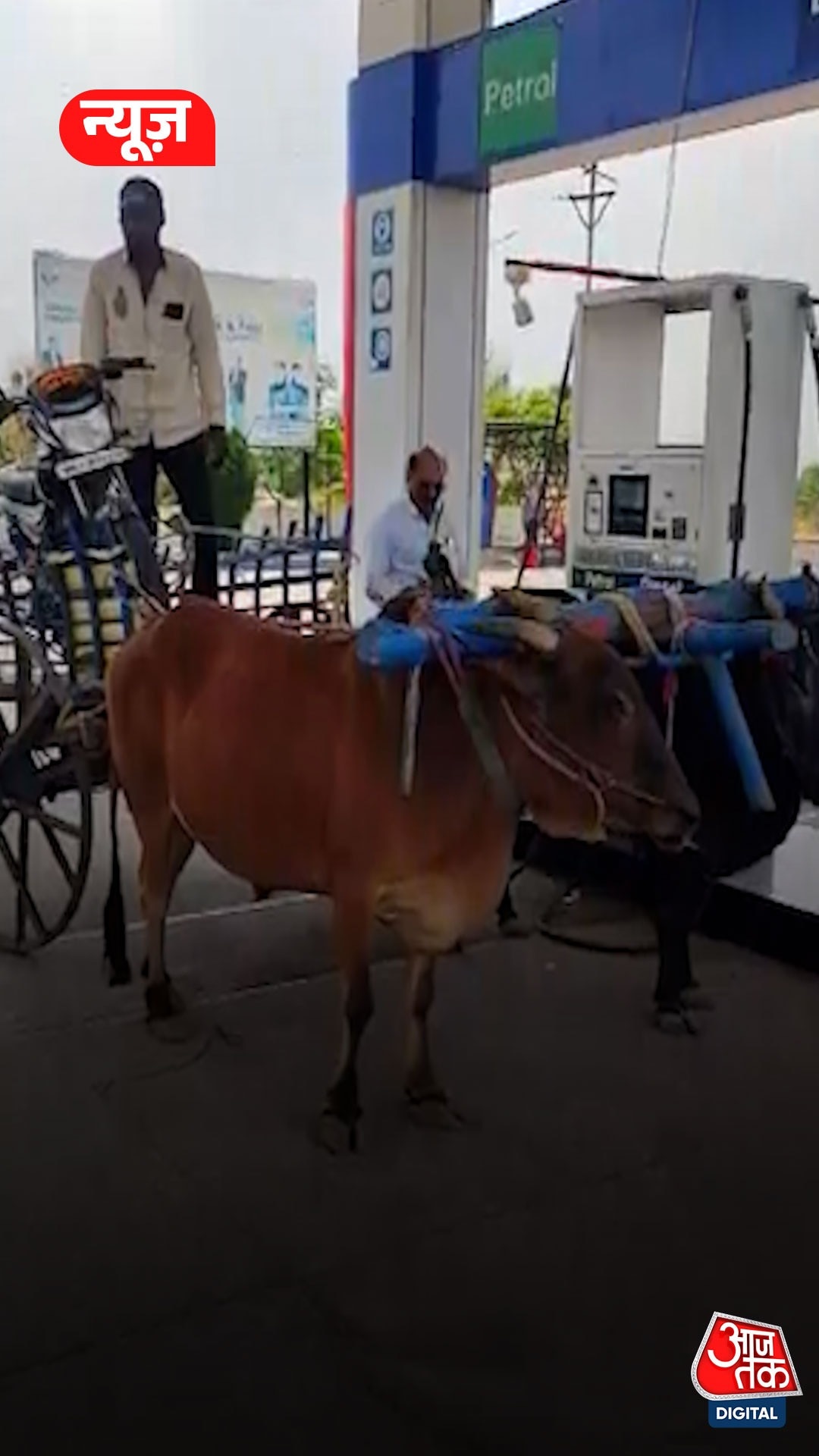 पेट्रोल पंप पर बैलगाड़ी लेकर पहुंचा युवक, Video 