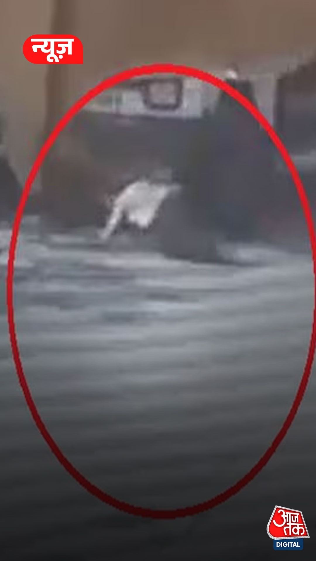 Chandrapur man suicide