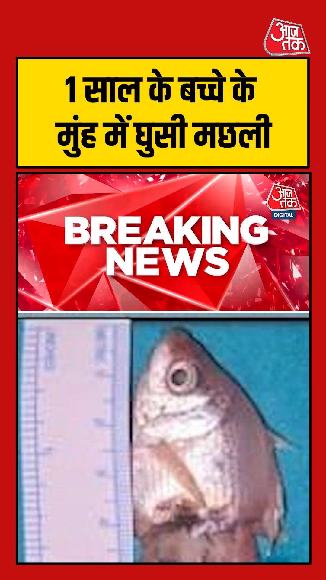 Fish enters one year old child's mouth during aquarium cleaning in Indore