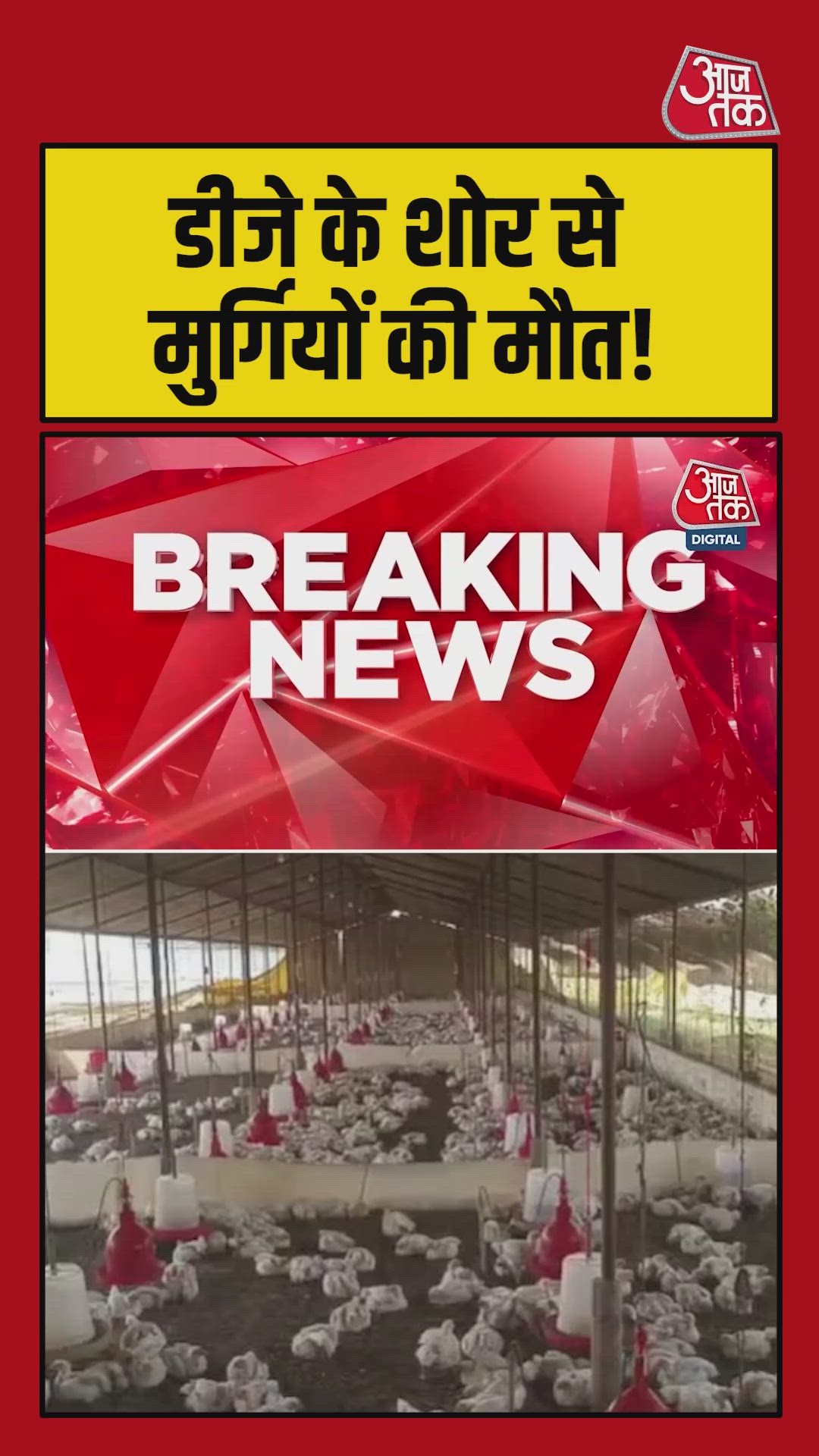 Loud DJ music kills 140 chickens in Sultanpur poultry farm