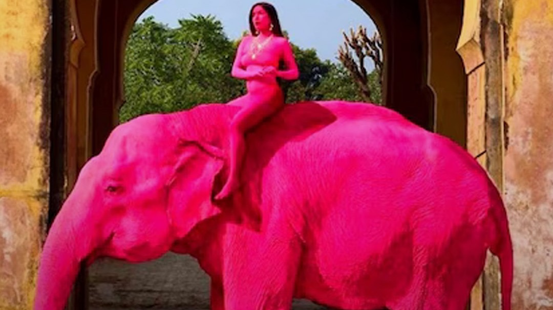 Japiur Model pink elephant row
