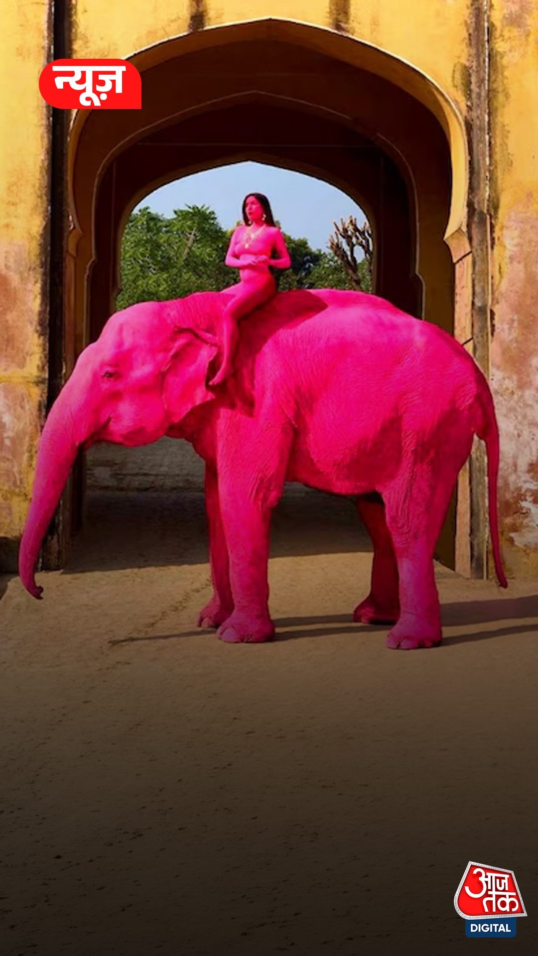 Japiur Model pink elephant row