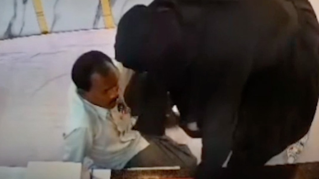 खिलौना पिस्टल की आड़ में लूट का पर्दाफाश