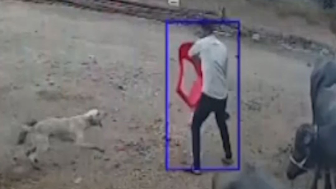 कुत्ते ने गांव में मचाया तांडव