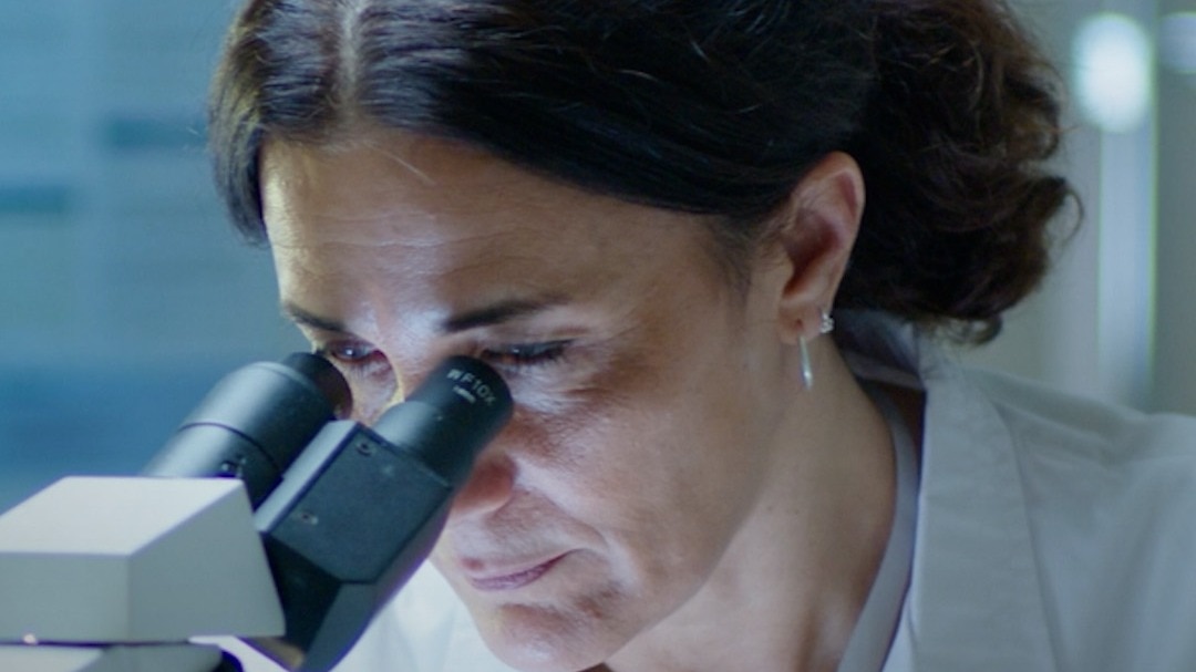 pig sperm exosomes eye cancer treatment