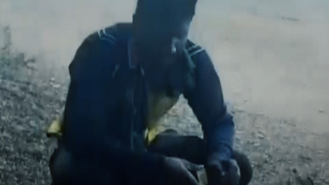 bee attack on man chandrapur dead dj cricket match